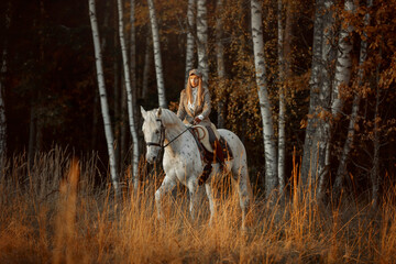 Beautiful young woman in English hunter wear style with Knabstrupper horse and Irish setter at autumn park - 469624432