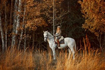 Beautiful young woman in English hunter wear style with Knabstrupper horse and Irish setter at autumn park - 469624434