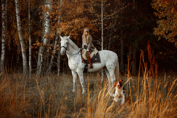 Beautiful young woman in English hunter wear style with Knabstrupper horse and Irish setter at autumn park - 469624441
