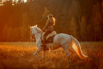 Beautiful young woman in English hunter wear style with Knabstrupper horse and Irish setter at autumn park - 469624457