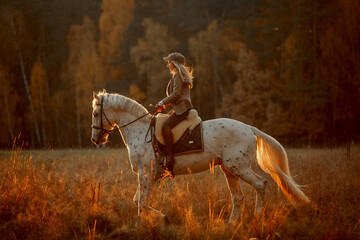 Beautiful young woman in English hunter wear style with Knabstrupper horse and Irish setter at autumn park - 469624461
