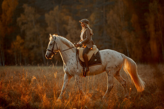 Beautiful young woman in English hunter wear style with Knabstrupper horse and Irish setter at autumn park