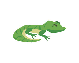pretty gecko design