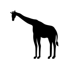 Fototapeta na wymiar giraffee icon design template vector isolated illustration