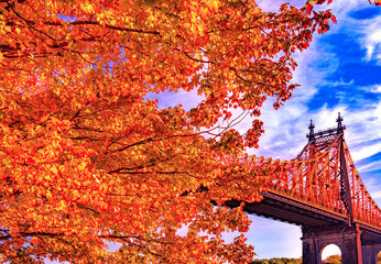 New York City Autumn