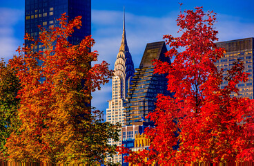 New York City Autumn