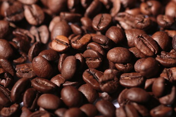 coffee beans close up with hard lighting