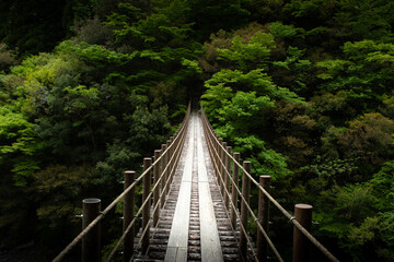 熊本県の秘境五家荘の樅木吊橋