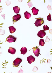 Frame of dried red roses, red and rose petals and leaves in form of circle on white background. Flat lay, top view seasonal concept