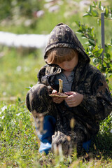 Portrait of boy picking mushrooms. Child in camouflage suit and blue rubber boots sits and examines champignon in her hands edge of forest. Mushroom hunting theme.