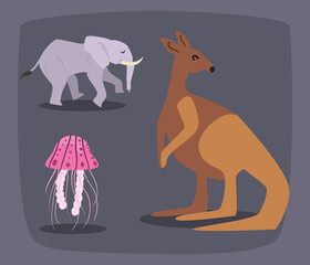 three nice animals