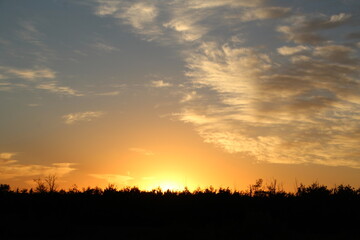 Obraz premium Open Sky, Pylypow Wetlands, Edmonton, Alberta