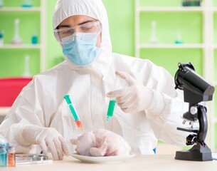Fototapeta premium Lab assistant testing GMO chicken