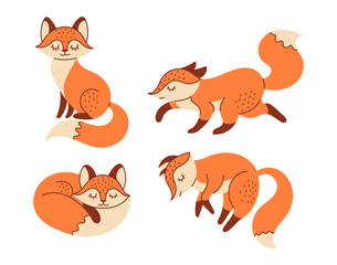 Set of children's illustrations with red fox. Fluffy wild animals in Flat style, doodle, cartoon. Isolated on white background. 