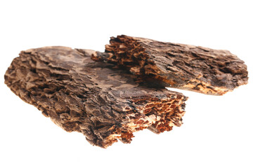 Pine bark on a white background