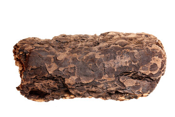 Pine bark on a white background