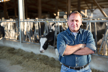 Portrait of confident senior man owner of dairy farm