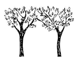 Simple hand-drawn vector drawing in black outline. Deciduous trees, arch, passage. Nature and landscape. Ink sketch.