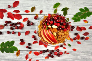 Granola with yogurt and cranberries on a light background, top view. Healthy energy breakfast or snack.
