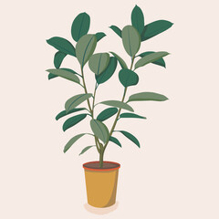 Fototapeta na wymiar Ficus tree houseplant illustration. Scandinavian cozy home decor. Flat vector cartoon icon illustration of house plant isolated