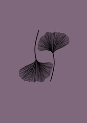 Flower illustration on a background