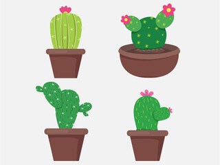 Green Cactus ,bright cacti flowers isolated on white background.design vector illustrator