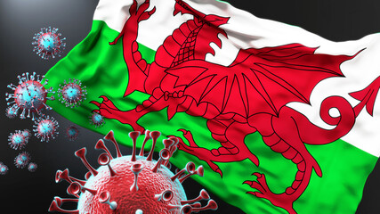 Wales and the covid pandemic - corona virus attacking national flag of Wales to symbolize the fight, struggle and the virus presence in this country, 3d illustration