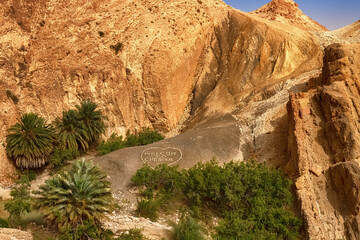 View of the mountain oasis of Shebika, in the middle of the Sahara Desert, Tunisia
