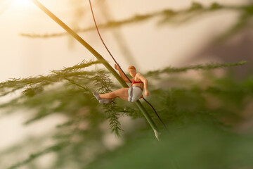 Image of the mountain climbing