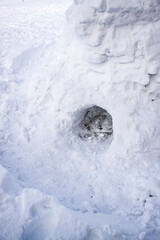 Detail of the entrance of a hand made igloo in a winter landscape with white snow in Umbria Italy