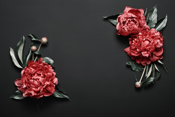 Beautiful red peonies frame on black background. Dark Spring or summer floral background. Festive...