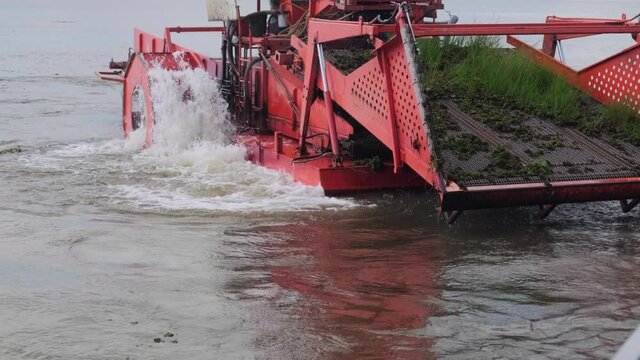 Worker On A Weed Clearing Water Tractor (or Aquatic Weed Harvester), Piling Weeds Onto A Barge At Kwan Phayao Lake, Thailand. Cleaning Algae And Debris From The Water Surface With Mechanical Equipment