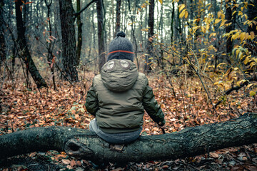 A little boy in a green jacket sits on a fallen tree in the forest