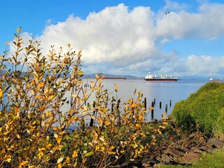 flowers on the beach