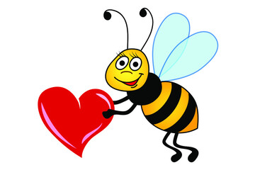 Bee holding heart illustration. Cute and funny bee giving a heart cartoon illustration isolated.