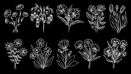 White outline flowers on black background. Line art flowers, linear floral set. Thin line flower illustrations set.