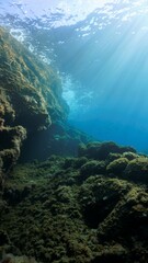Rays of sunlight underwater