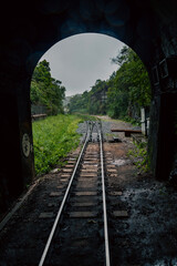 railway in the forest