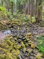 Sol Duc Falls