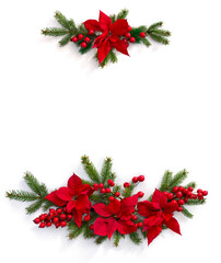Christmas decoration. Flowers of red poinsettia, branch christmas tree, red berries on white background with space for text. Top view, flat lay