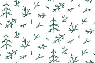 Vector seamless background with fir branches on white. Pattern.