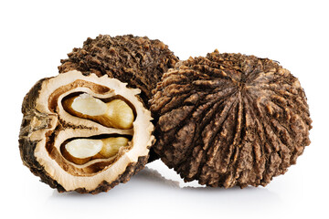 Black walnuts isolated on white background. With clipping path.