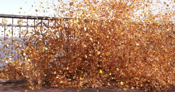 Gardeners remove fallen leaves for composting in the park.