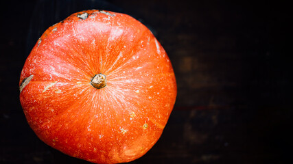 pumpkin on a black background. autumn harvest. banner. 