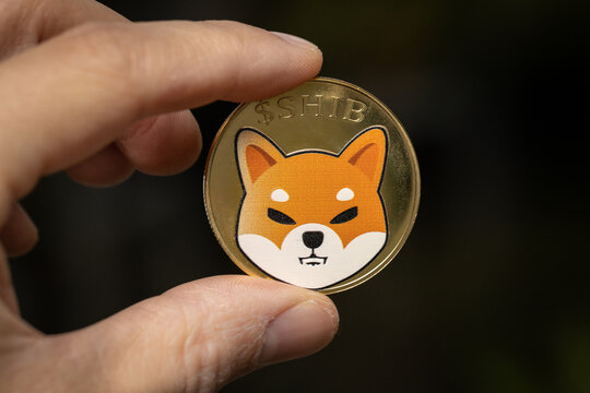 Shiba Inu Coin held between two fingers.