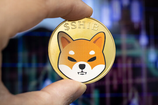 Shiba Inu Coin held between two fingers.