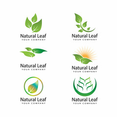 Leaf icon Vector Illustration design Logo template