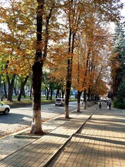 Naklejka premium autumn in the city