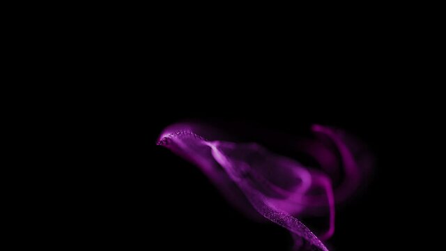 Pink Particles Flowing Motion Background slow motion background video