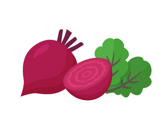 Beet root isolated on white background. Fresh red beetroot with leaves and a half. Vector illustration of vegetarian food. Organic vegetables